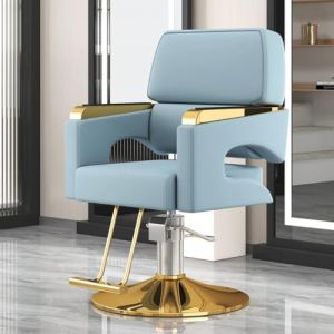 PA-DABAOO Fauteuil De Barbier Professionnel, Fauteuil De Tatouage Confortable Avec Accoudoirs Ergonomiques, Rotation À 360°, Hauteur Réglable 84-94 Cm, Équipement De Coiffure Professionnel,Bleu (Panda-Dabaoo, neuf)