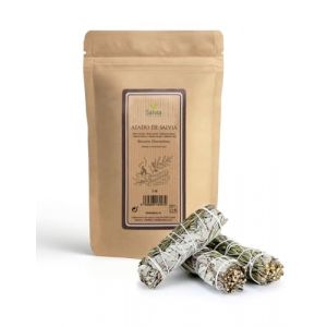 SALVIA | Sauge Blanche 3 unit&eacute;s | Herbe sacr&eacute;e pour la Purification | Plante herbac&eacute;e &agrave; Fort Effet br&ucirc;lant | Purification spirituelle et &eacute;nerg&eacute;tique | Rituels &eacute;nerg&eacute;tiques | Plante Pure &agrave; Br&ucirc;ler (FRISAFRAN, neuf)