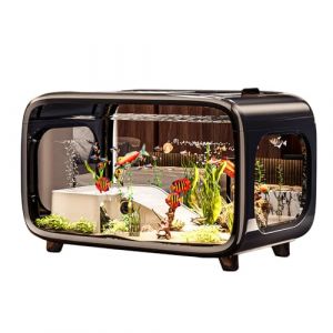 Renchey Aquarium pour Poissons | Petit Aquarium pour Les Poissons Combattants - Habitat en Acrylique Transparent avec des Crevettes des Escargots et Plantation Aquatique pour Habitat Vivant (Renchey, neuf)