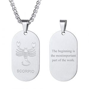 Custom4U Collier Personnalisé Prénom Plaque Signe Astrologique Scorpion Pendentif Zodiaque (Custom4U Store, neuf)