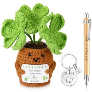 Hicarer Set de Cadeaux Coll&egrave;gues de Travail Tr&egrave;fle &agrave; Quatre Feuilles Tricot&eacute;e &agrave; Quatre Feuilles Porte-Cl&eacute;s Stylo &agrave; Bille en Bois pour Retraite Nouvel Emploi(COLL&Egrave;GUE AU top) (Xunyang YEETI, neuf)
