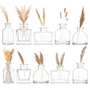 Winter Shore Mini Vase en Verre pour Centres de Table [Lot de 10] - Vase Transparent Decoratif Style Vintage - Set Vase Mariage Carré, Rectangulaire, Rond & Court pour Décoration d'Intérieur (Honey Shuffle, neuf)