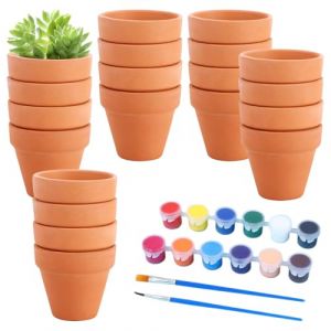 SKIKHN Petits Pots en Terre Cuite,20 Pièces Mini Pots de Fleurs en Terre Cuite 4.5 X4 cm,Pot de Fleur Terre Cuite avec Peintures & Pinceaux,Réutilisable Pot Terre Cuite pour Succulent, Cactus (ENSHISHISHUBAODIANZISHANGWUYOUXIANGONGSI, neuf)