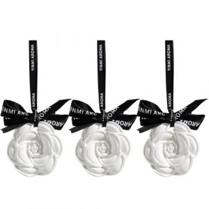 YOFDAL 3 Pi&egrave;ces Diffuseurs D'Huiles Essentielles,Galet Diffuseur Huile Essentielle,Pierre &agrave; Parfum D'Ambiance pour La D&eacute;coration Int&eacute;rieure Cadeau (Stivenimallmass O&Uuml;, neuf)