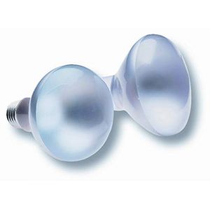 clar-leuci – lampe à incandescence r-50 40 W 230 V Mat E-14 (ADoceVoltios, neuf)