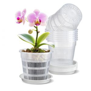IWTTWY Lot de 8 Pots &agrave; Orchid&eacute;es, 16cm Transparent Pots de Fleurs en Plastique, Pot de Fleur Interieur avec Trous et Soucoupes pour Kit de Rempotage D'orchid&eacute;es pour Jardins de Balcon (IWTTWYeu, neuf)