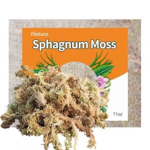Yilotuce 310g Sphaigne pour Plante, Très Bon Substrat pour Orchidées, Bon Terreau Plante Intérieur (Yilotuce, neuf)