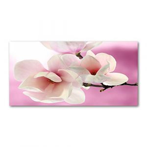 Tulup Crédence de cuisine 140x70cm Dosseret en verre Fond de hotte Verre de sécurité trempé Splashback Guard - Fleurs et plantes - Rose - Magnolia (Tulup, neuf)