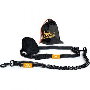 Barkswell Laisse Canicross avec Amortisseur - Canicross Kit Complet avec Ceinture Course Chien et Laisse pour Courir avec Son Chien Main Libre (Barkswell, neuf)