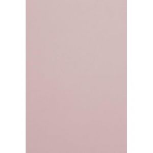 Netuno 100x carton de couleur rose clair A4 210 x 297mm 300g Malmero Rose Antique papier cartonn&eacute; couleur carton de bricolage carton pour travaux manuels d&eacute;coration carton imprimante scrapbooking (netuno, neuf)