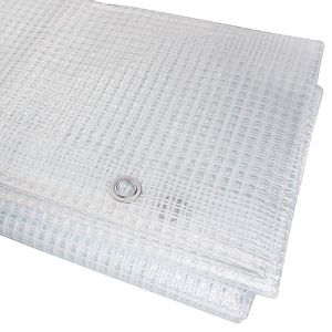 B&acirc;che de protection transparente 4 x 6 m, imperm&eacute;able, 100 g/m&sup2; avec &oelig;illets, b&acirc;che de protection pour voiture, b&acirc;che polyvalente (Skirmantas, neuf)