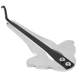 Qerwsdty 1 guimbarde portable en acier, harpe juive, Altaï, débutant ethnique, cadeaux pour enfants A (taiyuanyuanzhixuandianzi, neuf)