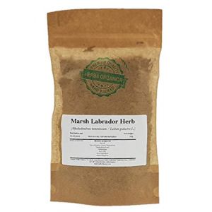 Herba Organica Herbe de Ledon des Marais Tisane - Rhododendron Tomentosum - Ledum Palustre - Marsh Labrador Herb Tea (50g) (Health Embassy, neuf)