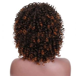 Perruques En Dentelle Synth&eacute;tique Rouge Noir Noir Perruque Boucl&eacute;e Pour Femmes Noir Et Blond M&eacute;lang&eacute; Marron Perruque Synth&eacute;tique Coiffure Africaine, B, 14 Pouces (14 Pouces | E) (ydxdsp, neuf)