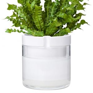Phoenix Vine 52-B-H-1 Pot de Fleurs en Terre Cuite avec r&eacute;servoir en Verre pour Plantes d'int&eacute;rieur, Herbes, Fleurs, Blanc, 20,3 cm (Fast Media Ships From USA, neuf)