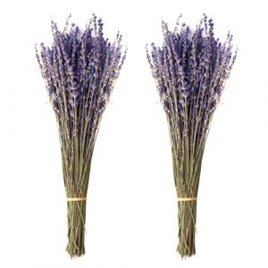 Jangostor 100g Branches de Lavande séchés, 43 cm Tige de Lavande sèche Naturelle Bouquet de Lavande séché Nature pour Le Salon à la Maison Photographie de Mariage Fond Bricolage Artisanat (TaoQ C, neuf)