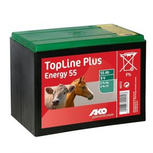 ESTO Batterie &agrave; sec 9 V 12 V Zinc Carbone 55 Ah 90 Ah 130 Ah pour &eacute;lectrificateurs de cl&ocirc;ture &eacute;lectrique, r&eacute;seau &eacute;lectrique, cl&ocirc;ture de p&acirc;turage, pile saline batterie 55 Ah (BRICONATURA, neuf)