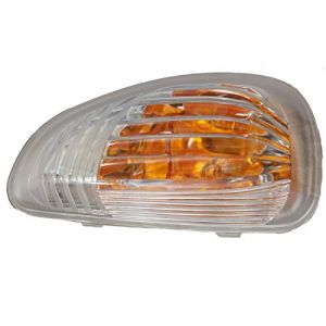 Twowinds Clignotant de R&eacute;troviseur Compatible avec Renault Master 3, Nissan NV400, Opel Movano, C&ocirc;t&eacute; Passager, Lat&eacute;ral Droit, 7485120620 (Autoparts-forless, neuf)