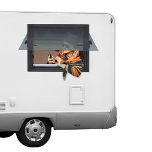 Fenêtre de camping-car, 600 x 450 mm, fenêtre basculante, pour camping-car, caravane, fenêtre coulissante, fenêtre de ventilation avec moustiquaire et vitre (60 x 45 cm) (Anpevule, neuf)