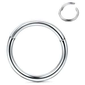 Roheafer Piercing Nez Hypoallerg&eacute;nique Anneaux Nez en Titane G23 Anneaux &agrave; L&egrave;vres 14G 16G 18G 20G Anneaux Segment&eacute;s Articul&eacute;s pour Femmes Hommes Helix Daith Tragus Cartilage Septum Piercing Bijoux (Roheafer, neuf)
