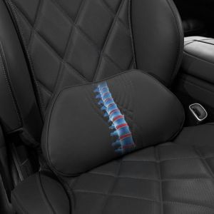 Treesiche Coussin Lombaire Voiture, Mousse à Mémoire de Forme Coussin Dos Voiture, Coussin de Soutien Lombaire Ergonomique, Adatto per Auto, Sedia da Ufficio (Triscar, neuf)