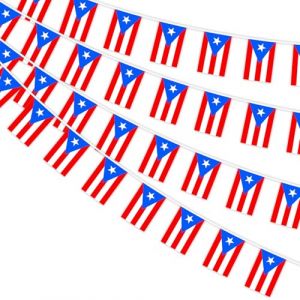 AhfuLife 10M Guirlande Drapeau Porto Rico, 4Pcs Banderole Drapeau Portoricain, 30 Petit Drapeau de la Porto Rico pour Decor F&ecirc;te de l&rsquo; Ind&eacute;pendance Festival de San Juan Coupe du Monde Stade Bar Jardin (echoapple, neuf)