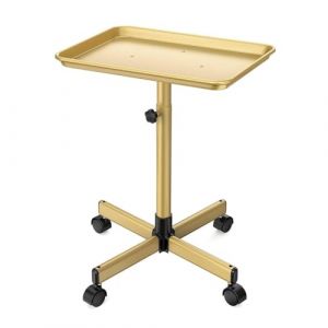 PP-Vic Plateau De Salon &Agrave; Roulettes En Aluminium, Plateau De Tatouage &Agrave; Roulettes, Chariot Utilitaire R&eacute;glable En Hauteur, Plateau De Salon &Agrave; Roulettes Pour Spa, Tatouage, Clinique Dentaire,M&eacute;tallique (Panda-Sees, neuf)