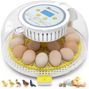 Sailnovo Couveuse Oeuf Automatique 18 Oeufs, Incubateur Oeuf Automatique Bacs à œufs Avec Rotation et Arrêt Automatiques, Carafes à œufs, Pour éclosion des Poussins (jaune) (Sailnovo EU, neuf)