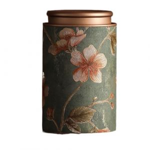 Bo&icirc;te de rangement vide en &eacute;tain, &eacute;l&eacute;gante pour th&eacute; vintage en m&eacute;tal, pot de conservation pour caf&eacute;, herbes, bonbons, chocolat, sucre, &eacute;pices (Vert-L) (GUANZHINING, neuf)