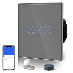BSEED Interrupteur Tactile Dimmer, Interupteur Intelligent WiFi Variateur avec lumi&egrave;res LED, N&eacute;cessite Un Fil Neutre, Interrupteur Mural en Verre, 1 Gang 1 Voie, Compatible avec Alexa/Google, Gris (Bseed-EU, neuf)