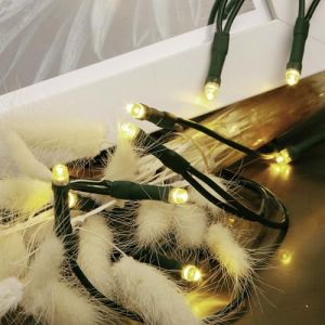 Hellum LED mini chaîne de lumière à l'intérieur, 10 mini LED lumières, 135cm longueur éclairé, chaîne de lumière puissance avec fiche, câble vert, Comme arbre de Noël chaîne de lumière LED 577532 (Hellum Direkt, neuf)