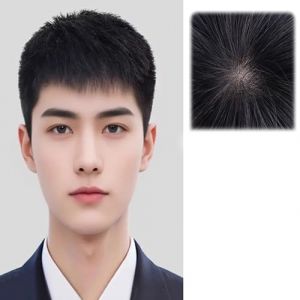 Perruque courte noire pour homme, perruque courte noire naturelle et lisse pour homme, postiche en vrais cheveux humains à clip pour homme, usage quotidien(B) (TaiYuanDengLinDianZiShangWuYouXianGongSi, neuf)