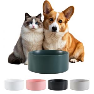 C&eacute;ramique Gamelle Chien Antid&eacute;rapante - Bol Chien Croquette et Eau pour Petit et Moyen - Gamelle pour Chat Grand pour Eau - Bol C&eacute;ramique Anti&eacute;claboussure - 15 cm - 320 g / 720 ML - Vert (PTOBER, neuf)