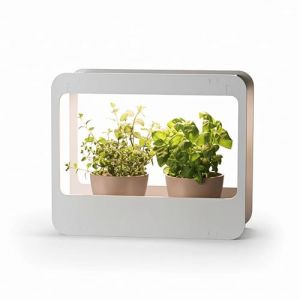 Romberg Homegarden Mini Serre d'int&eacute;rieur avec &eacute;clairage LED Blanc 50,5 x 21 x 40 cm (Fantastik, neuf)
