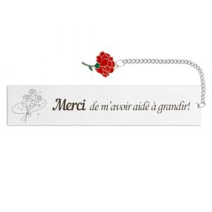 Cadeau Maitresse Cadeau Atsem Merci Maitre Cadeau Aesh D'École Fin D'année Marque Page Maitresse D'École Cadeau Merci De M'avoir Aidé À Grandir Creche Merci Maîtresse Cadeau Professeur Noel (OUchun, neuf)