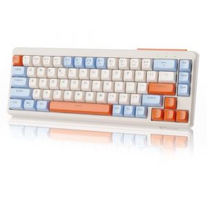 ZIYOU LANG×Freewolf Clavier de Jeu sans Fil M68 Tkl, Clavier a Membrane Compact a 3 Modes 2,4 Ghz/Bt5.1/USB-C, 19 Touches Anti-Ghosting, Touches Sphériques, Rechargeable 2000 Mah - Myrtille (FreeWolf, neuf)