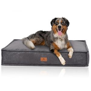 Knuffelwuff Coussin pour Chien Lesedi en Velours c&ocirc;tel&eacute; Aspect tiss&eacute; Main 80x60cm Gris - Housse Amovible - Lavable - pour Grands, Moyens et Petits Chiens (Knuffelwuff, neuf)