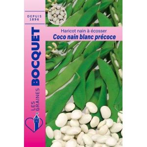 Sachet de graines de Haricot nain &agrave; &eacute;cosser coco blanc pr&eacute;coce 115g - 115 g - Haricot nain &agrave; &eacute;cosser - LES GRAINES BOCQUET (LES GRAINES BOCQUET, neuf)