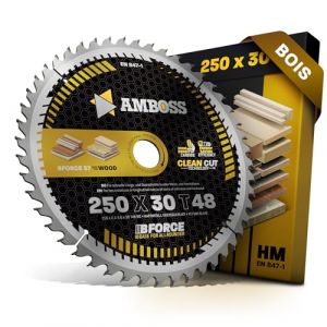 Lame de scie circulaire HM 250 x 30 mm Z48 dents alternées pour batterie bois – Allround. AMBOSS WERKZEUGE® Lame de scie 250 mm compatible avec Dewalt DWE 7492 Mafell Erika 85 EC Einhell TE-CC 250. (Sawblade King, neuf)