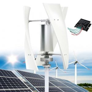 14000W Kit de g&eacute;n&eacute;rateur d'&eacute;oliennes Verticales de Jardin, 12V/24V/48V/110V/220V Petite &eacute;olienne Verticale AC triphas&eacute;e avec contr&ocirc;leur MPPT,pour &eacute;quipement Industriel D'&eacute;nergie ,White-12V (QIAOLANSHOP, neuf)