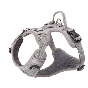 Harnais pour Chien No Pull Nylon Souple Réfléchissant Réglable pour Petit Grand Animal Domestique TLH56512(XS, Gris) (Truelove Pet Garment and Shoes Co.Ltd., neuf)