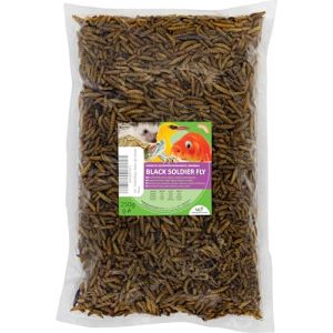 UGF - Larves de Mouches Soldats Hermetia - Mieux Que Les vers de Farine s&eacute;ch&eacute;s (250 g) - 85 Fois Plus de Calcium Que Les vers de Farine Vivants - Friandises BSFL pour Oiseaux Sauvages, Tortues, Rats (Underground Food, neuf)