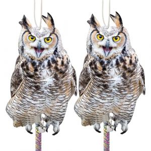 Effaroucheur Oiseaux Repulsif Pigeon Balcon: Effaroucheur Pigeons Anti Oiseaux Carton, Epouvantail Oiseaux Anti Pigeon, Effaroucheur d'oiseaux Jardin, Repulsif Oiseaux Exterieur 2 Pièces Hibou (Colour N Colours, neuf)