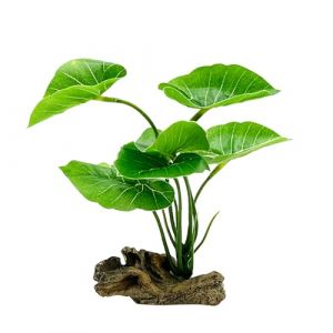 Smoothedo-Pets Décoration d'aquarium - Hamac en Plastique - 15,2 cm - Plante Artificielle en Plastique - Poisson Rouge - Petit Aquarium/Reptiles - Bois flotté (Vert-Type A) (BLACKDAYS GLOBAL LLC, neuf)
