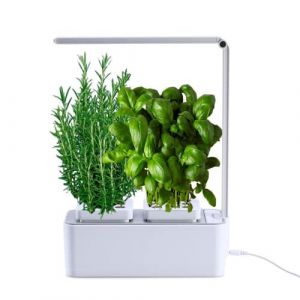 amzWOW Clizia Smart Garden- Potager Hydroponique D’Intérieur, Jardiniere Interieur pour Herbes aromatiques - Jardin Autonome Intelligent avec Minuterie Automatique, Lumière LED Incluse (Blanc) (WoW-store, neuf)