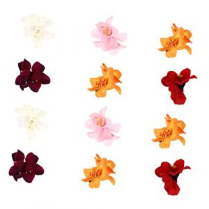 VALICLUD 12pi&egrave;ces Accessoires Cheveux Hawa&iuml;ennes Clips De Cheveux Simul&eacute;s Pour Mariage Et F&ecirc;te Plage (Cedongh, neuf)