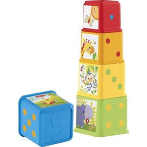 Fisher-Price Cubes Découvertes, jouet pour bébé à empiler et à emboîter, 6 mois et plus, CDC52 (MarketPlaceSMG, neuf)