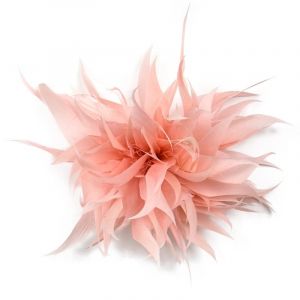 Épingle à plumes for écharpe, boucle, broche, clip, épingle à revers de Noël, broche, bijoux, badge en plumes et fleurs for femmes et filles(CP) (MAOXINBAIHUO, neuf)