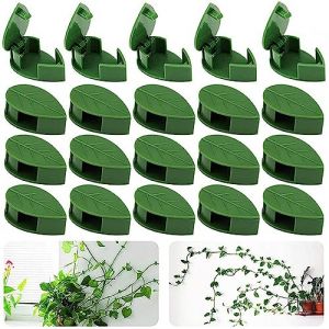 20 Pi&egrave;ce Clips Plantes Fixation de Plantes Grimpantes, Clip Mural v&eacute;g&eacute;tal, Clip De Fixation V&eacute;g&eacute;tale, Clip de Fixation Mural v&eacute;g&eacute;tal Auto-adh&eacute;sif, Plante Invisible Plante Murale Clips, Pour Plante (CAI LONGCANG DE DIAN, neuf)