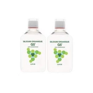 Silicium G5 - Sans conservateur - 2 x 500 ml LLR-G5 (REKINKE, neuf)